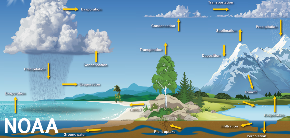 water cycle by Dennis Cain, NWS